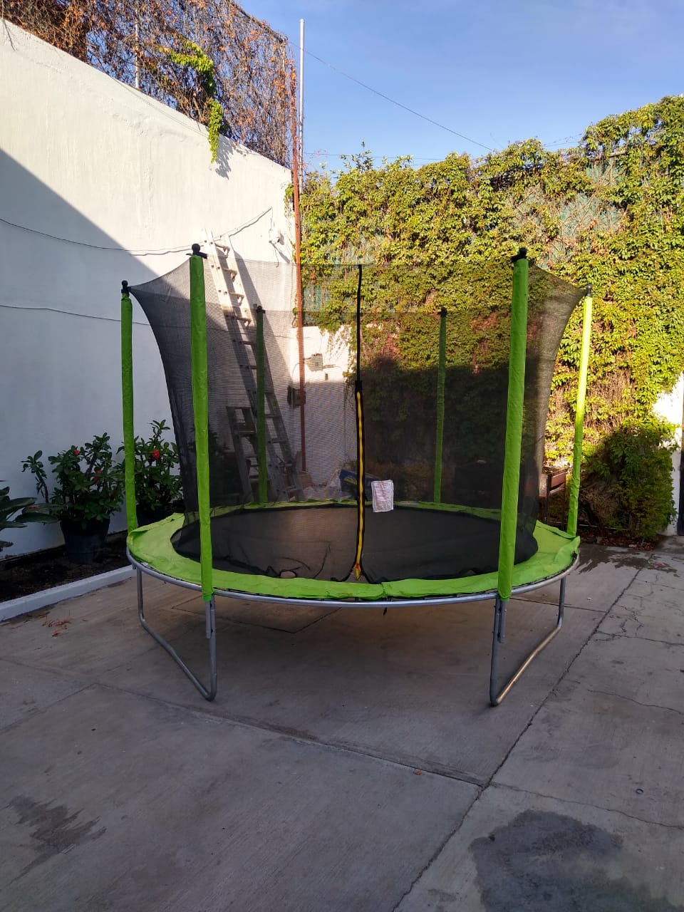 Terraza Los Pandas